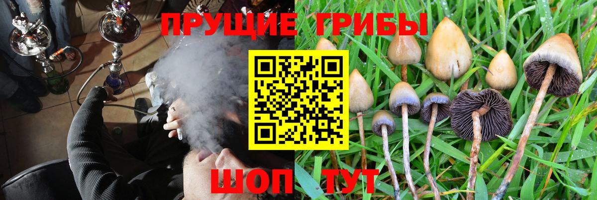 Псилоцибиновые грибы GOLDEN TEACHER Калач-на-Дону