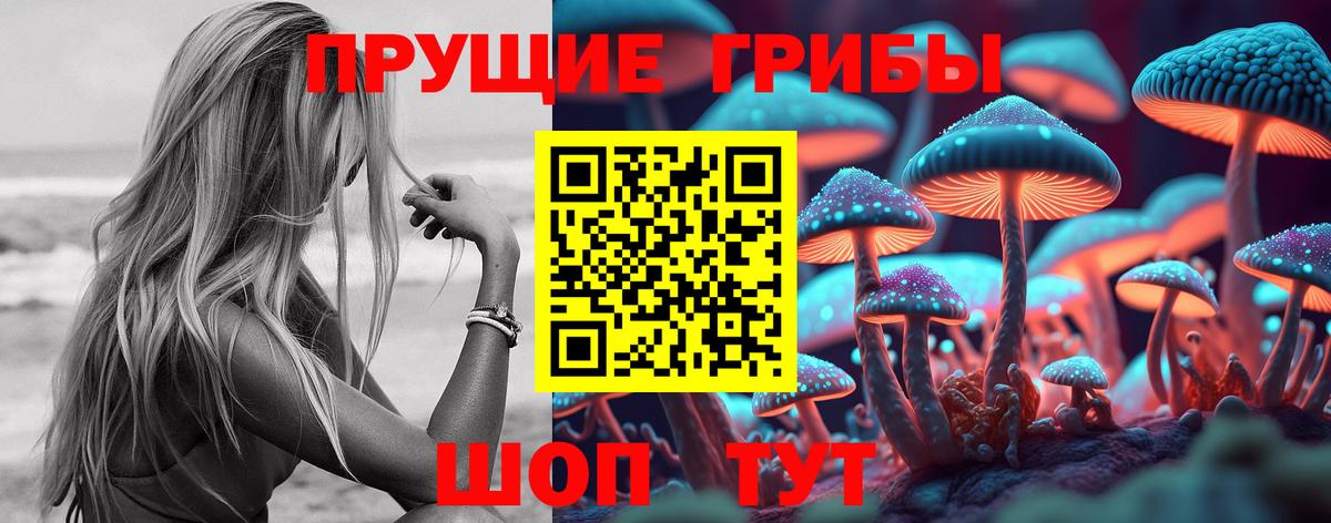Калач-на-Дону  Псилоцибиновые грибы мицелий  Вход с VPN  Галлюциногенные грибы Magic Shrooms 